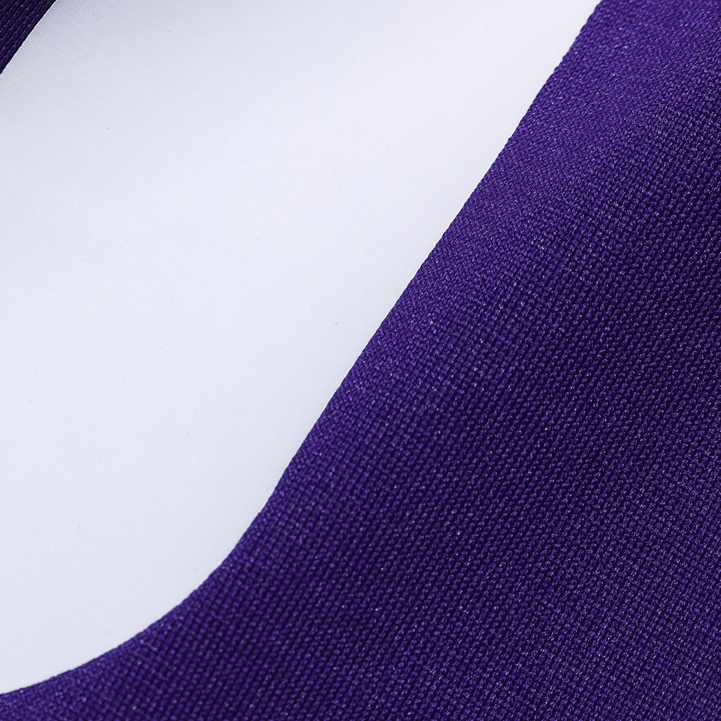 Men's Minnesota Vikings Adrian Peterson Nike Purple Team Retired Game Jersey